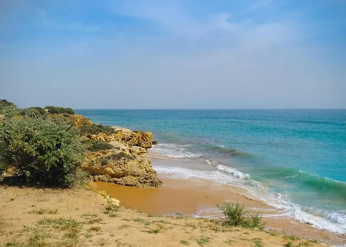 Shiny Flat - Pool Lägenhet